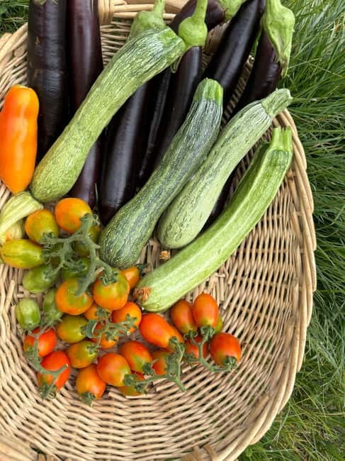 Amalfi Coast: Mozzarella, Pasta and Tiramisù Cooking Class - Booking Details That Matter