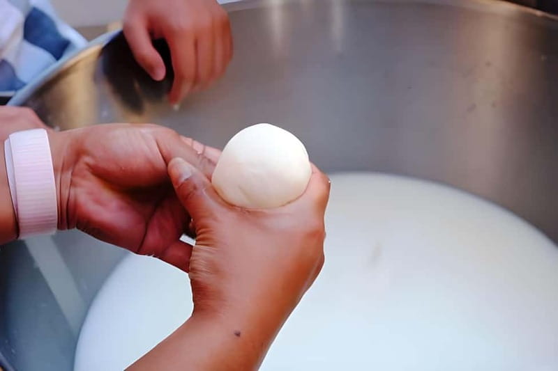 Amalfi: Make Gnocchi, Mozzarella and Tiramisù - What the $93 price includes