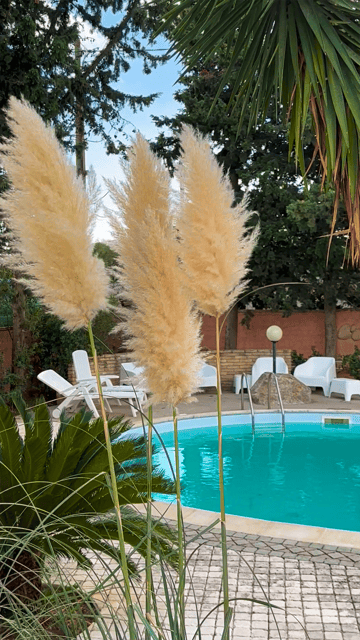 Cagliari: Workshop di pasta fresca tradizionale sarda - Should you book this Sardinian cooking experience?