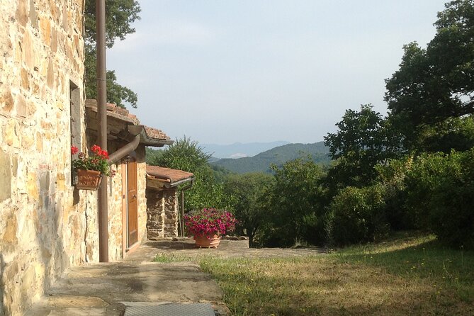 Cooking Class for Pasta Lovers in Florence Country House - Eating on the terrace