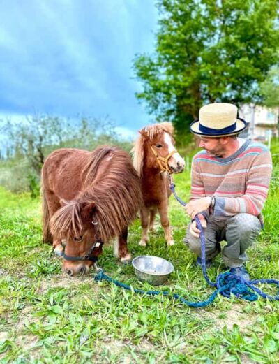 Countryside Tour with Wine Tasting & Pasta Class