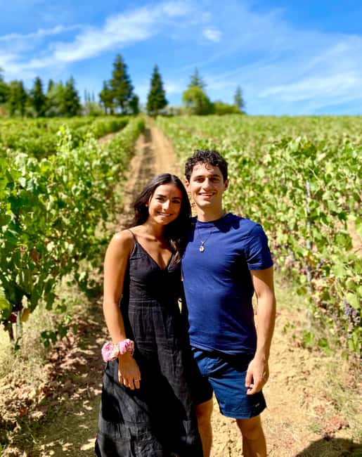Florence: Countryside Tour with Wine Tasting & Pasta Class - Five organic wines in the cellar