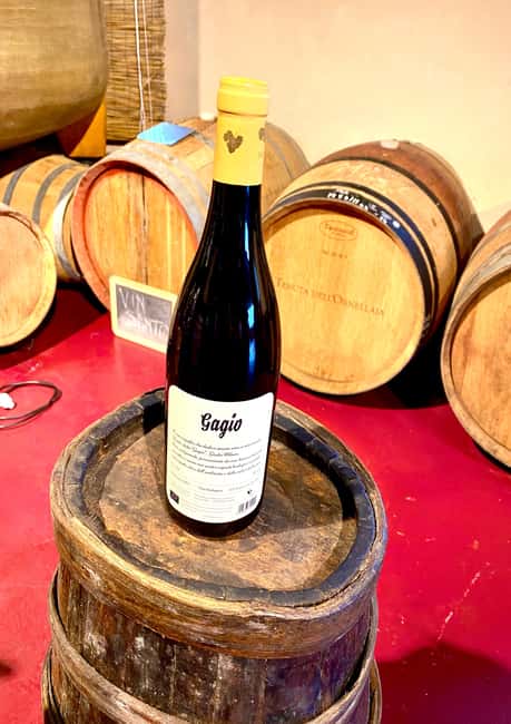 Florence: Countryside Tour with Wine Tasting & Pasta Class - The best season and what to pack