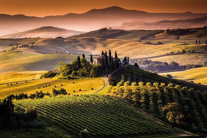 Florence Food Tour: Home-Made Pasta, Truffle, Cantucci, Olive Oil, Gelato - Group size, pace, and practical comfort