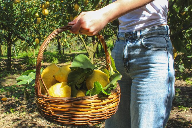 Fresh pasta and Limoncello course in a lemon grove - Key points at a glance
