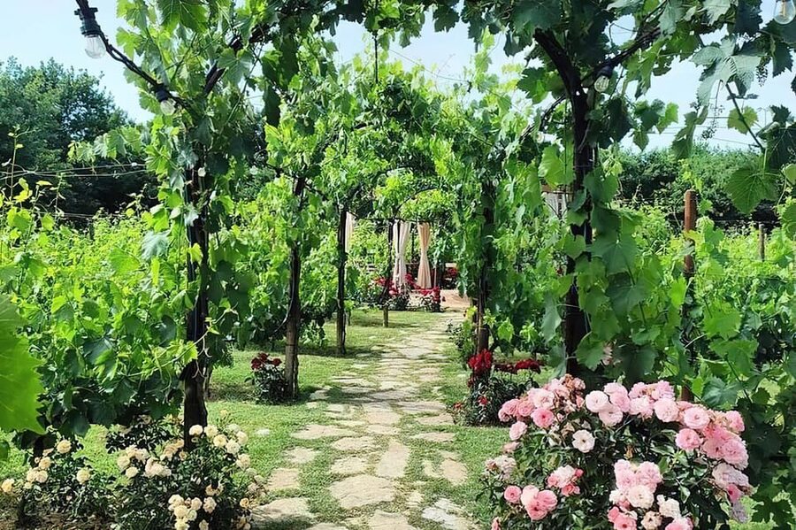 From Livorno: Authentic italian Pasta Cooking Class - Arriving at Tenuta Torciano