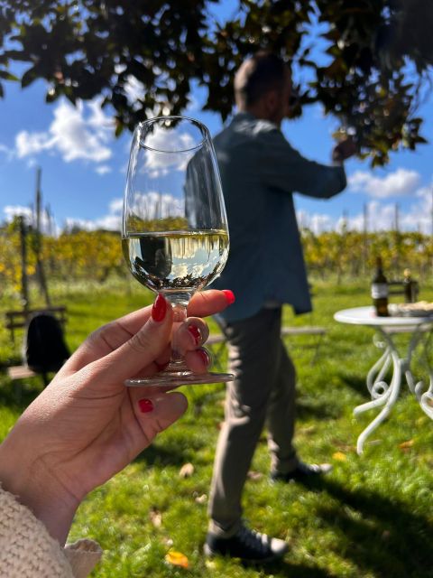 From Rome: Pasta Masterclass & Wine Tour in the Vineyard - How the group size changes the mood