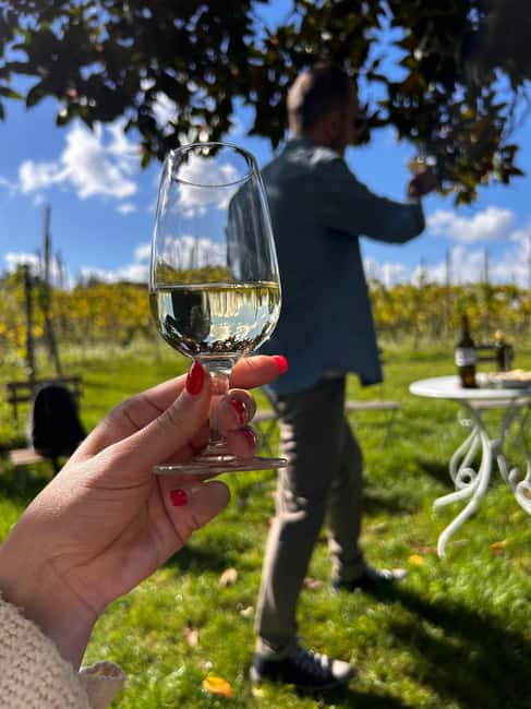 From Rome: Pasta Masterclass & Wine Tour in the Vineyard - What $99 buys you