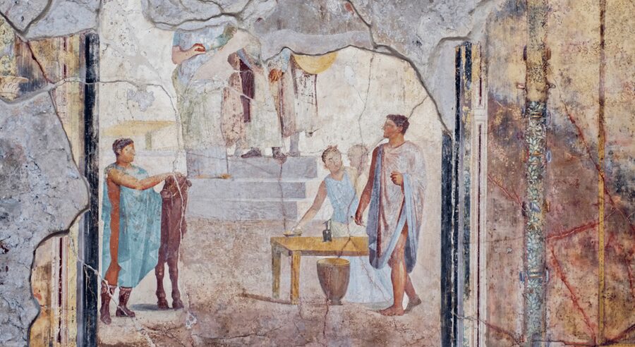 From Rome: Pompei by Bullet Train with Pasta Class & Lunch - Making pasta beneath Mount Vesuvius