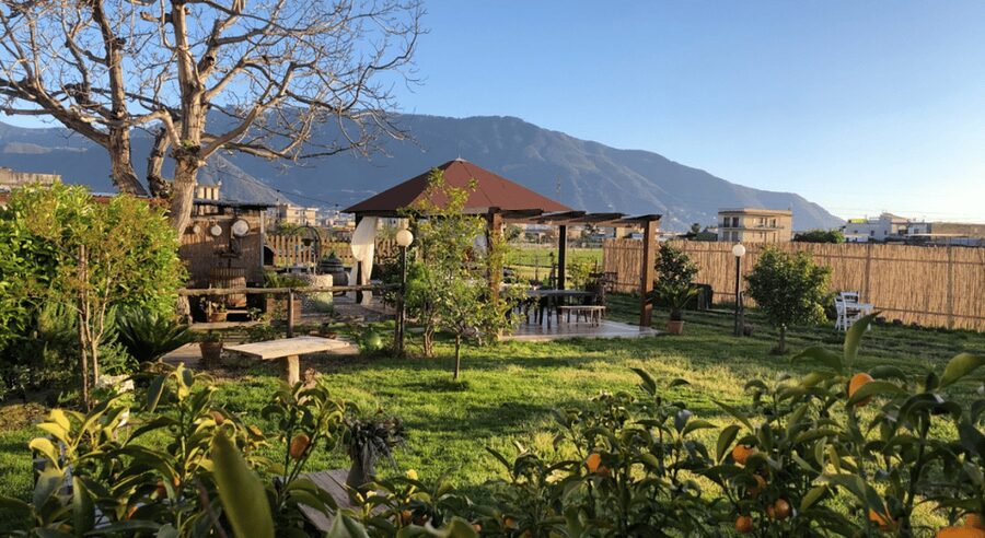 From Rome: Pompei by Bullet Train with Pasta Class & Lunch - Lunch, wine, and the value of staying longer
