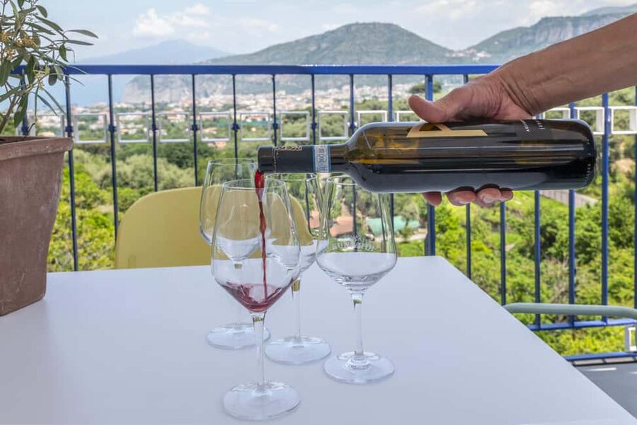 From Sorrento: Pizza-Making Class w/ View of Mount Vesuvius - Who Will Enjoy This Most
