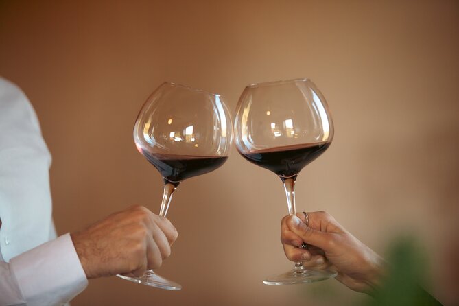 Golden Grains & Gourmet Pasta Cooking Class - Organic wine and olive oil at the estate