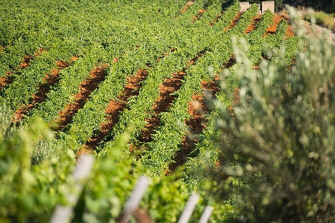 Gourmet Pizza Workshop and Wine Tasting - Rolling up your sleeves for the pizza workshop