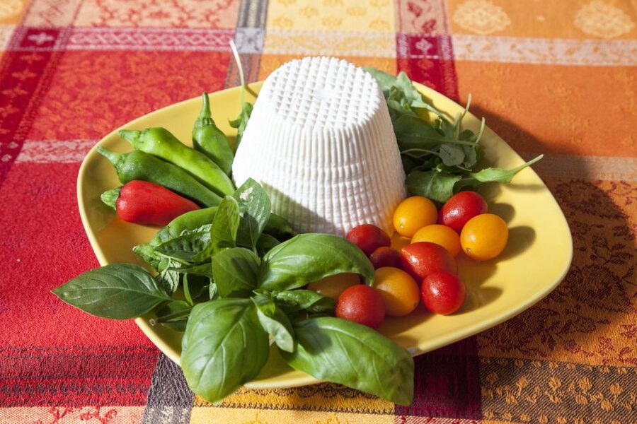 Lecce: Private Pasta-Making Class at a Local's Home - Who should book this Lecce cooking class