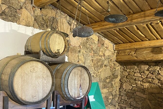 LONGEVITY TOUR: Pasta Class&BlueZone Secrets with Simonetta Bazzu - A small cellar and the taste of Sardinian red wine