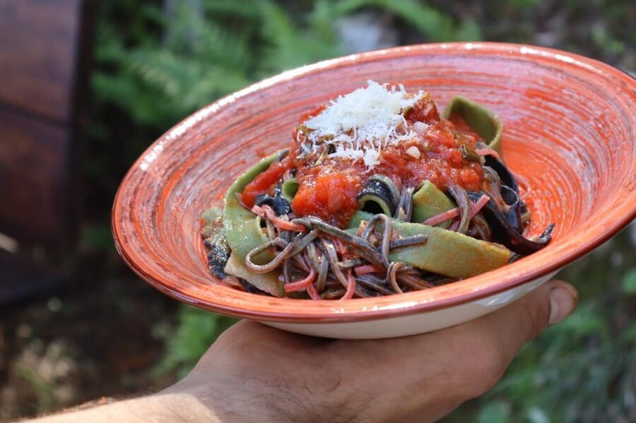 Lucca: Private Home-made Pasta Cooking Class - A garden break while the dough rests