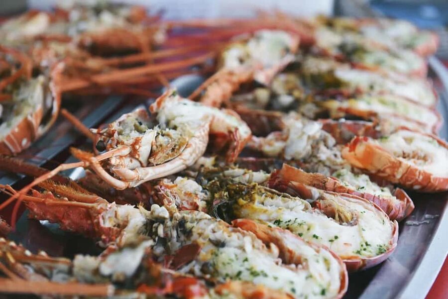 Lunch of lobster pasta in a cove in the Lavezzi Islands - Lunch arrives in a Lavezzi Islands cove