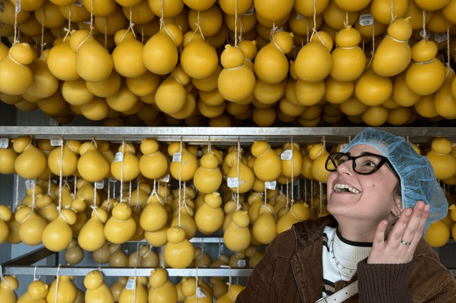 Martina Franca: Mozzarella and Pasta Workshop with Farm Tour - Why this Martina Franca farm visit feels different