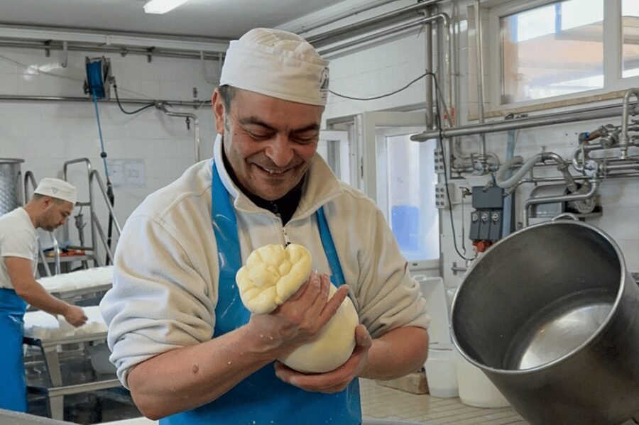 Martina Franca: Mozzarella and Pasta Workshop with Farm Tour - Starting with animals and sustainable farm work