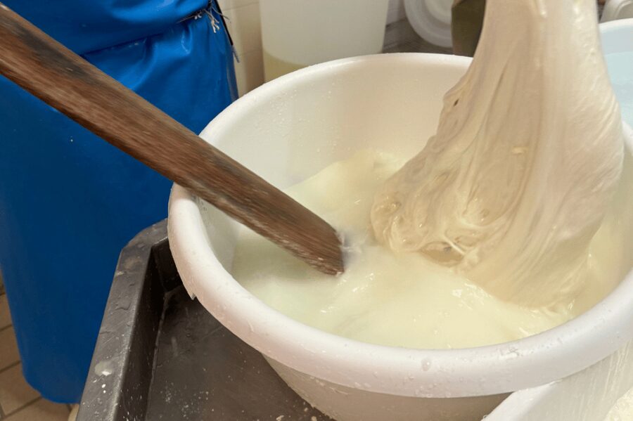 Martina Franca: Mozzarella and Pasta Workshop with Farm Tour - A stop at the ancient church