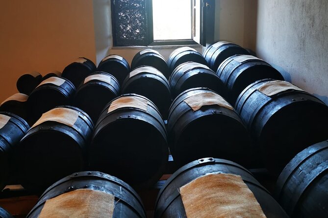 Parmigiano Reggiano, Balsamic Vinegar and fresh pasta tour - Why this food tour feels different from a simple tasting