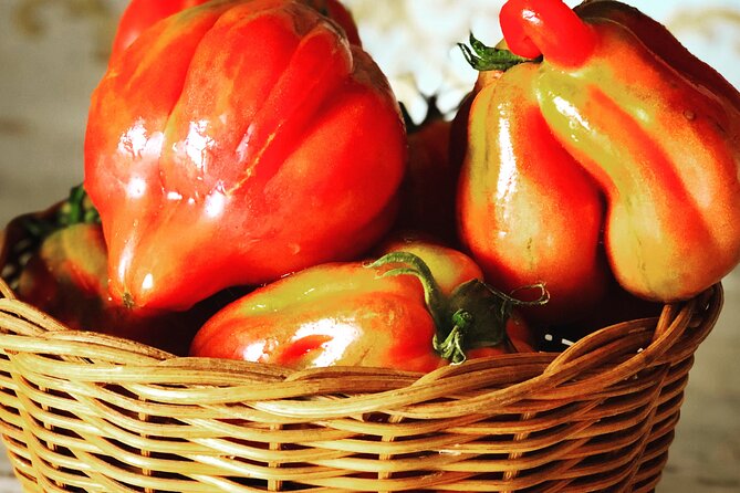 Pasta and Pizza cooking class in Cortona - Who will enjoy this class most
