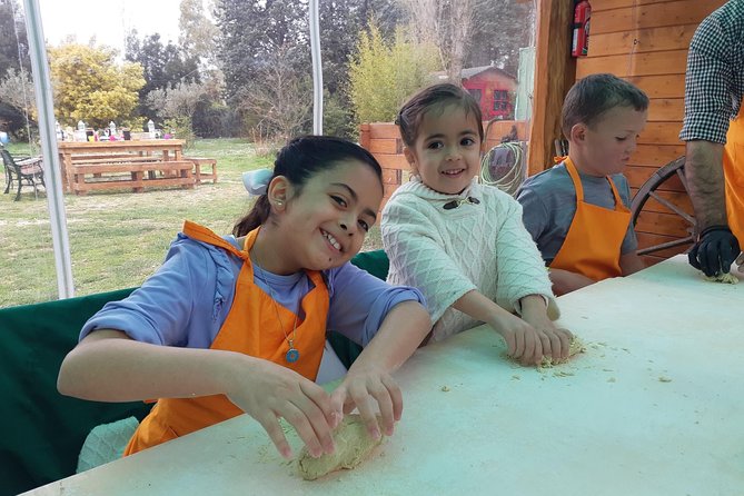 Pasta and Pizza Master Class and Tiramisu tasting - Dietary needs and practical planning