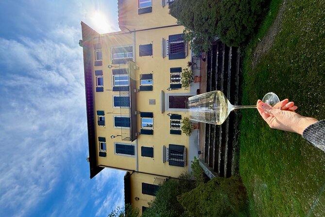Pasta, meatballs and ice cream in a villa in the hills of Florence - Homemade Fior di Latte ice cream to finish