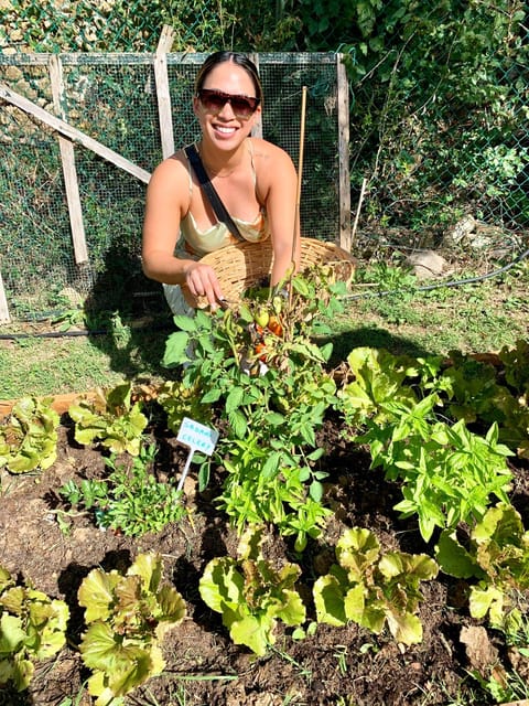 Pick Vegetables at the farm & Cook pasta - A Tuscan cooking class that starts in the garden