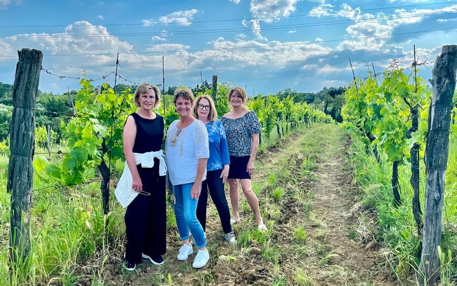Pick Vegetables at the farm & Cook pasta - Four courses, family olive oil, and homemade wine
