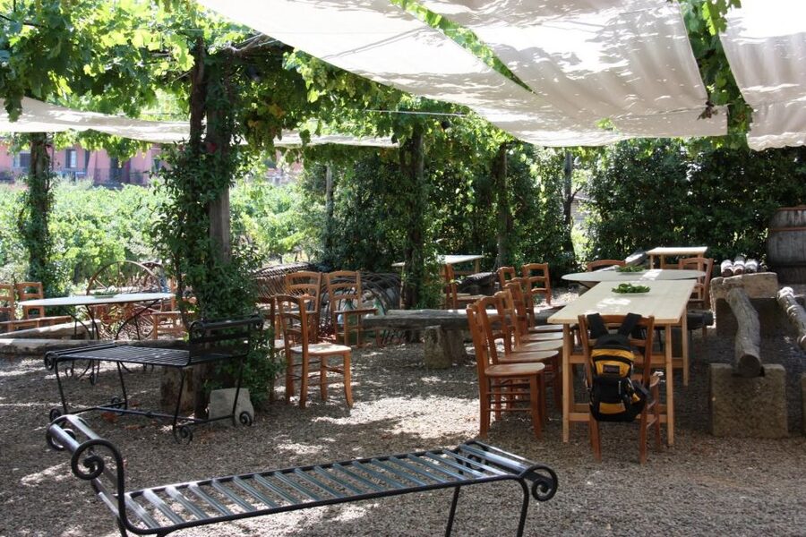 Rome: Private Wine Tour and Pasta Making Class in a Winery - Making traditional pasta with a professional chef