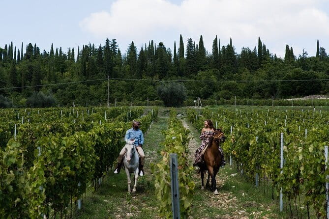 Small Group Pasta Making Class Wine Tasting in a Tuscan Castle - Morning or afternoon, and who should book