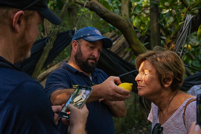 Sorrento Ape Tour, Lemon Garden, Mozzarella Show & Pizza Class - Key points to know before booking