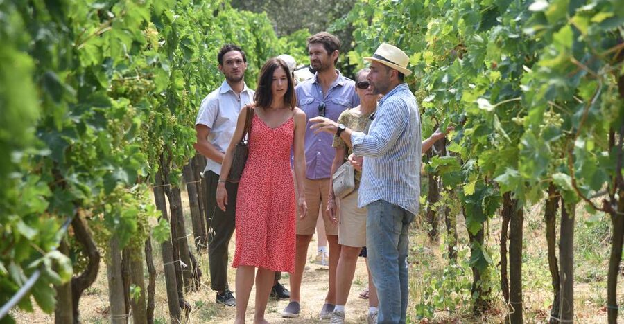 Sorrento: Farm Tour with Cheese Tasting & Pizza Making Class - A family farm above Sorrento