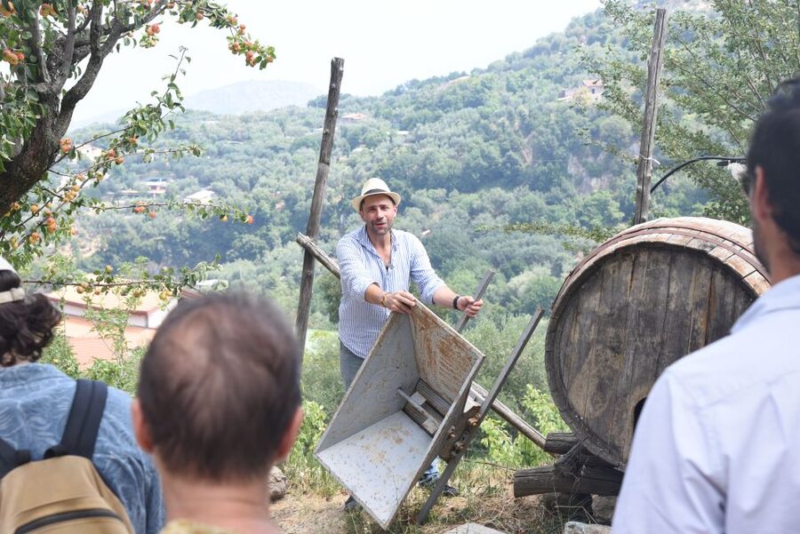 Sorrento: Farm Tour with Cheese Tasting & Pizza Making Class - Walking through crops, animals, and working areas
