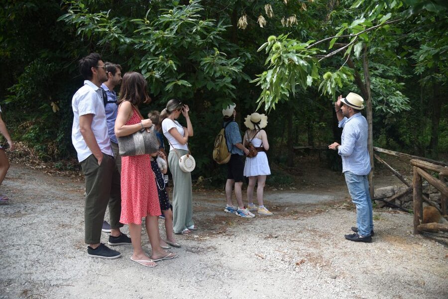 Sorrento: Farm Tour with Cheese Tasting & Pizza Making Class - How the four hours feel