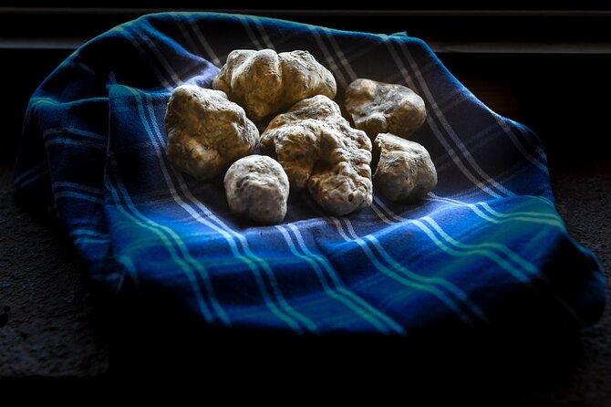 Truffle Hunting and Handmade Pasta in Ascoli Piceno - Why this Ascoli Piceno outing feels different