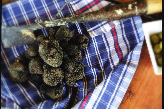 Truffle Hunting and Handmade Pasta in Ascoli Piceno - Timing, clothing, and practical details
