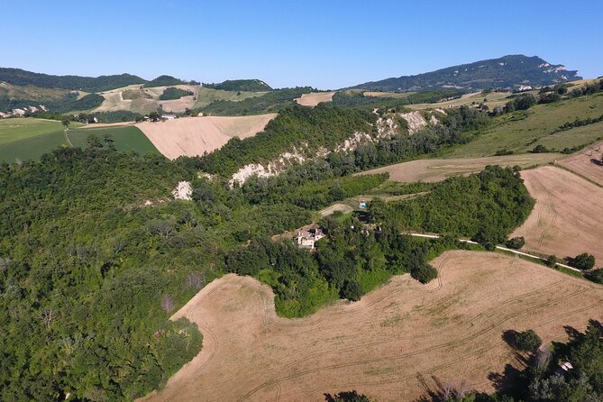 Truffle Hunting and Handmade Pasta in Ascoli Piceno - Should you book the truffle hunt?
