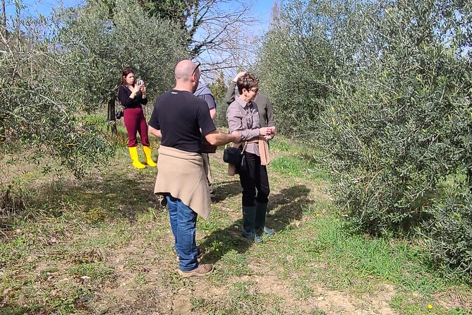 Truffle Hunting in Chianti, pasta class and lunch - How the $191.72 price measures up