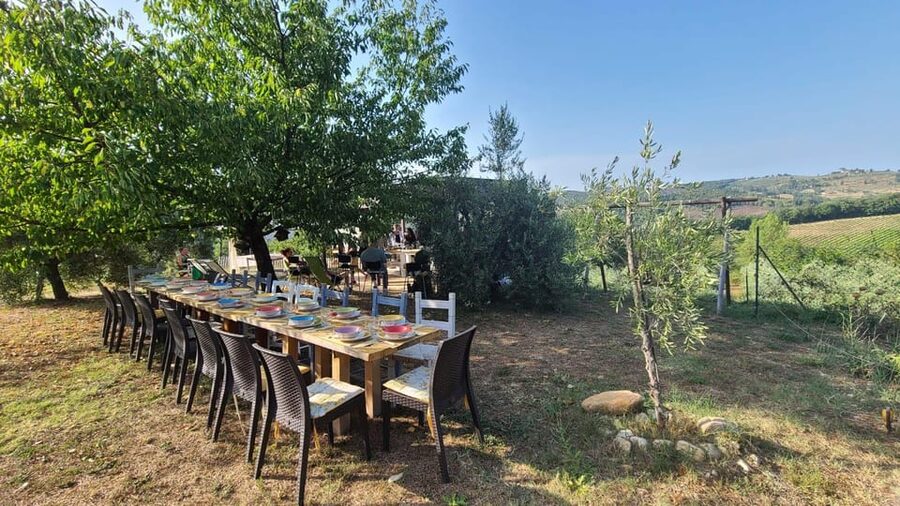 Truffle hunting in Chianti with pasta cooking class & lunch - Should you book this truffle experience?
