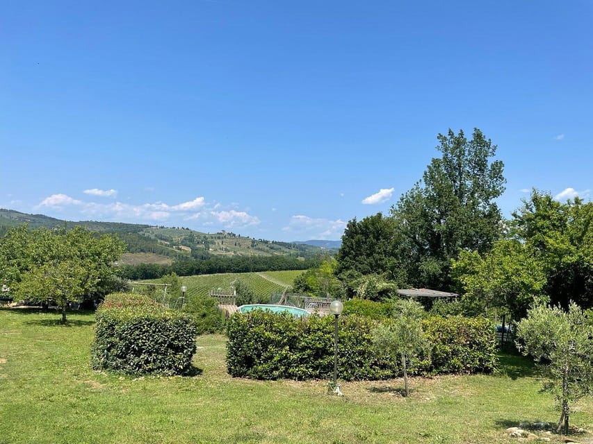 Truffle hunting in Chianti with pasta cooking class & lunch - What the one-hour forest walk is really like