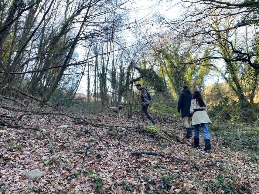 Truffle hunting in Chianti with pasta cooking class & lunch - Lunch with the truffles you helped find
