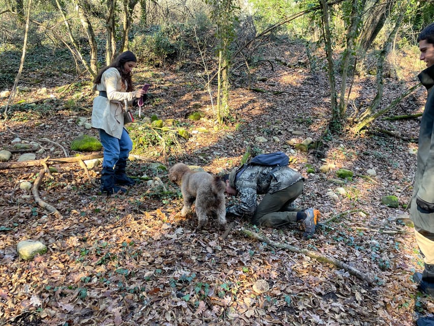 Truffle hunting in Chianti with pasta cooking class & lunch - From the woods to fresh tagliatelle