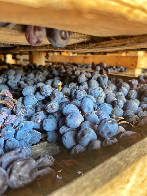 Verona: Pasta Cooking Class with Wine Tasting - A lunch made by your own hands